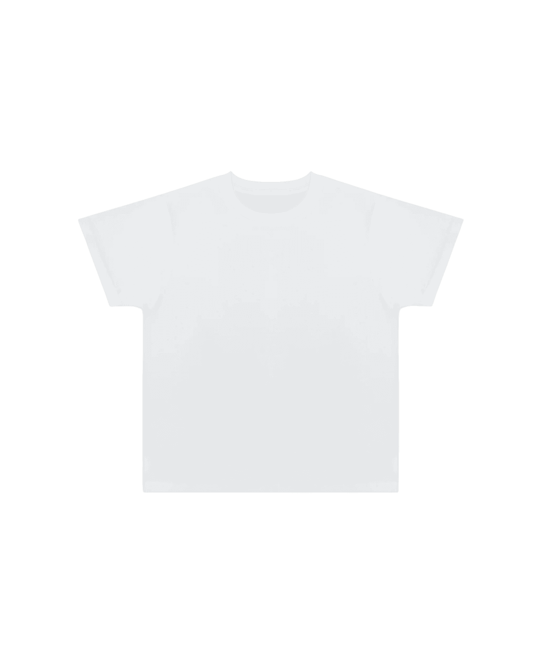LucidBlanks 300 GSM Standard Tee