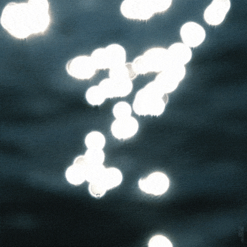 We Built It Because We Needed It